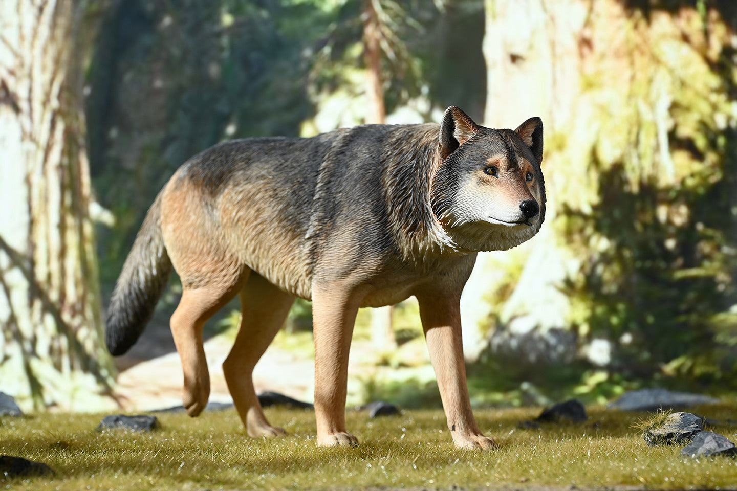 A highly detailed 1/6 scale gray wolf statue with realistic fur texture and expressive eyes, made from hand-painted resin. This lifelike animal figurine captures the essence of a wild gray wolf in a majestic stance, making it perfect for collectors, wildlife lovers, and home decor enthusiasts.