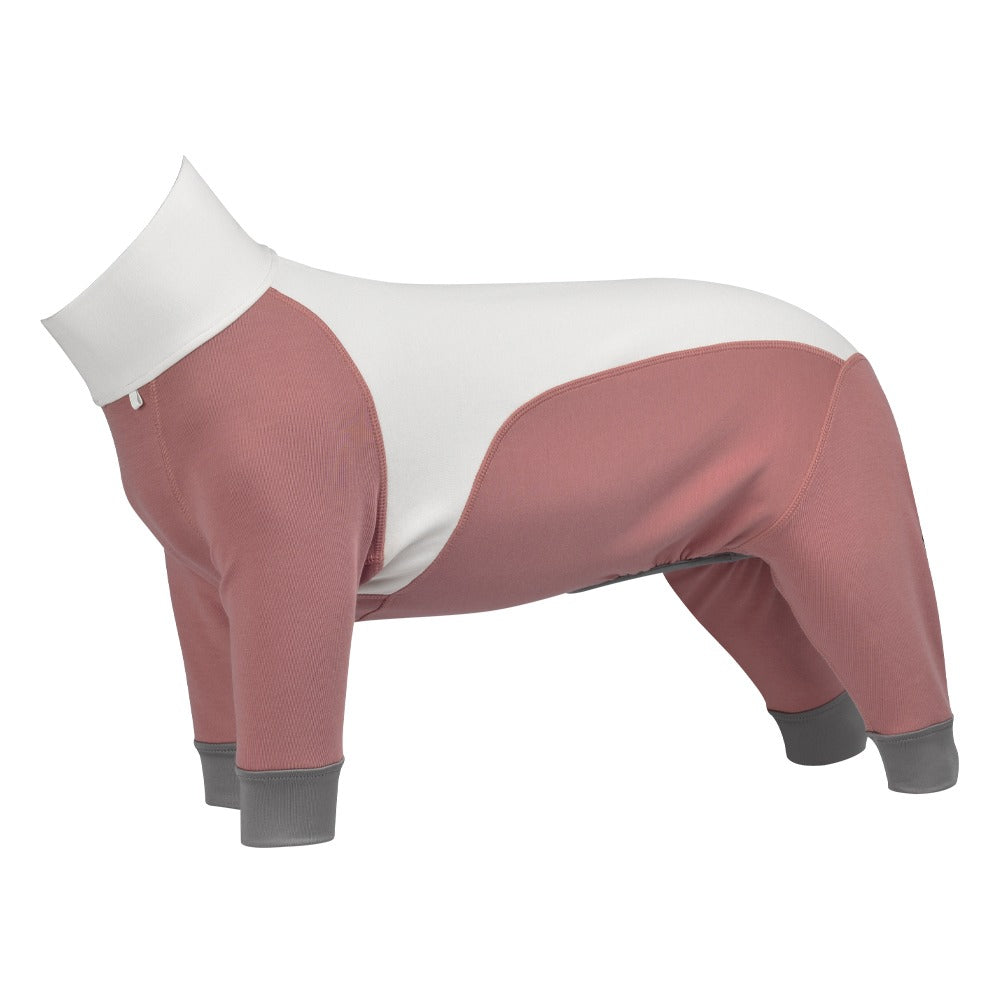 Thermal Weight All-Round Warmth Knit Coat for dogs by BlackDoggy. Features a Merino wool blend, full-body protection, and a gender-specific design. Perfect for outdoor adventures, cold weather, and indoor use, offering maximum warmth and comfort for your pet.