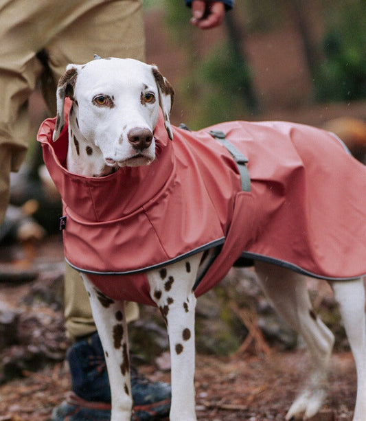 Top-Quality Waterproof Dog Jacket for Outdoor Adventures 🐾