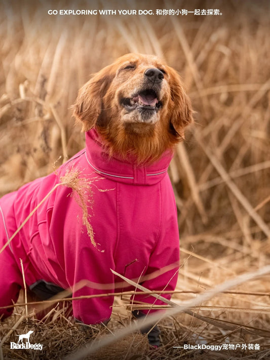 Winter Wonderland Adventures: The Magic of Snowy Play with Your Pup ❄️🐾