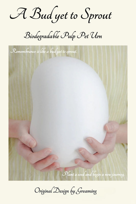 A Bud Yet to Sprout: A Biodegradable Pulp Pet Urn That Embraces Nature
