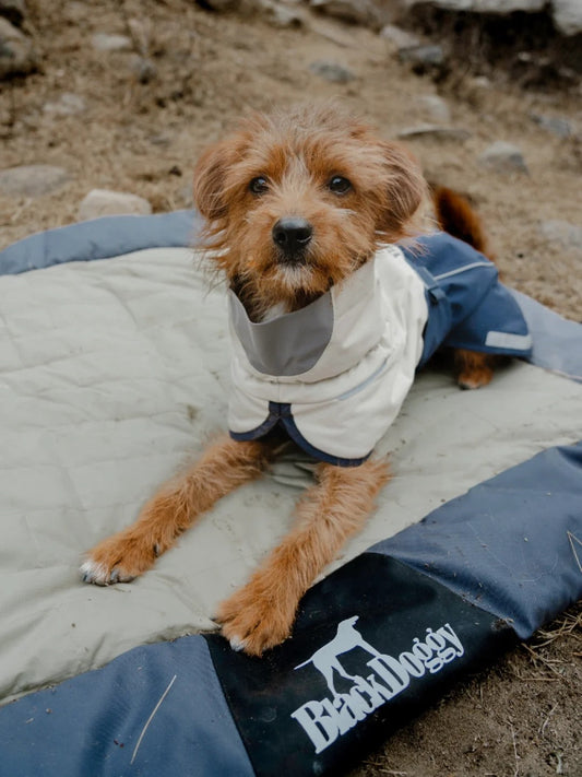 Ultimate Portable Dog Camping Bed for Outdoor Adventures 🐾🏕️