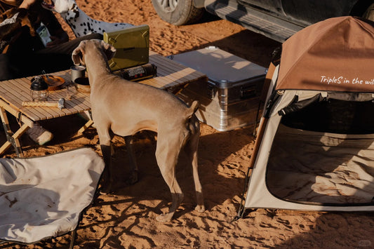 Perfect Outdoor Pet Shelter: Durable & Convenient Tent for Pets