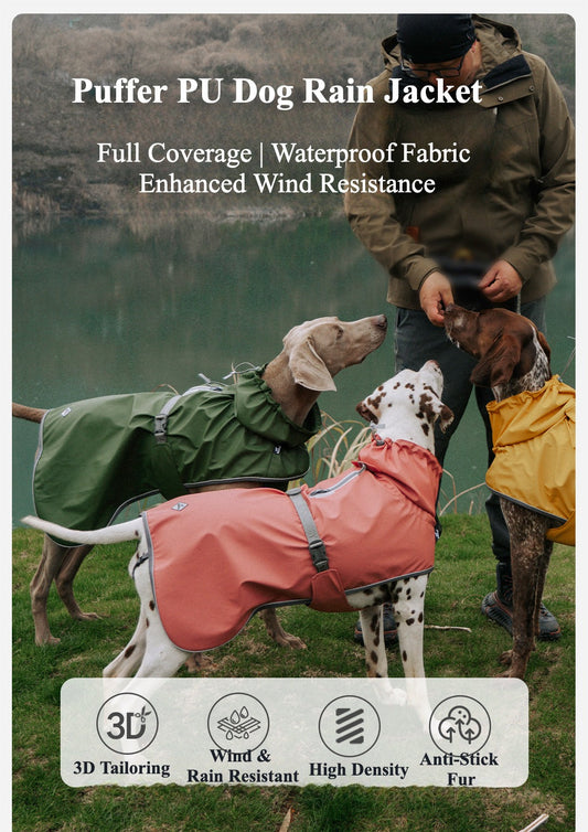 Rainy Day Adventures: Hiking in the Woods with Your Dog 🌧️🐕🌳