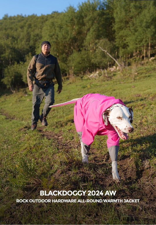 Winter Wonderland Adventure with My Border Collies 🐾❄️