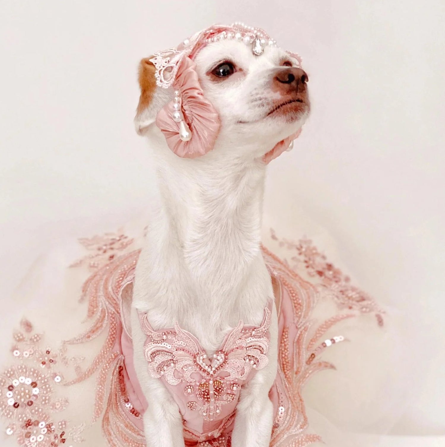 Haute Couture (Custom).