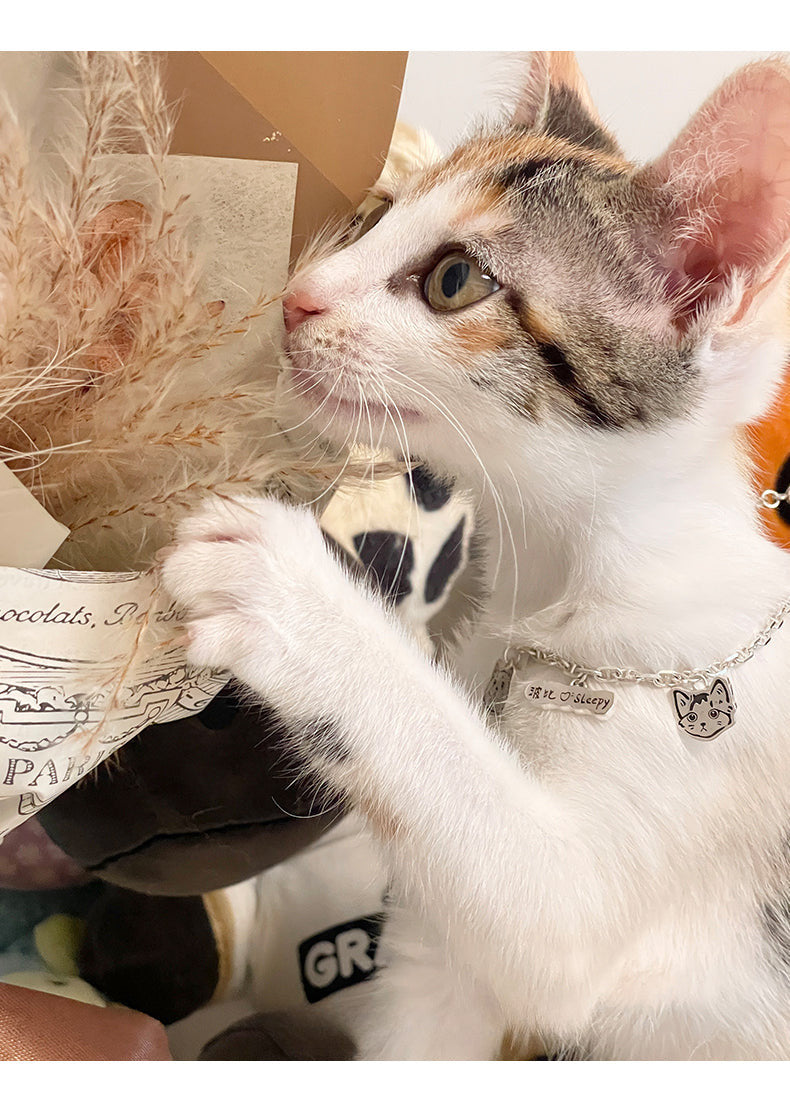 DIY Custom Silver Jewelry Bracelet light luxury niche dog cat pet periphery custom bracelet DIY handmade gift.