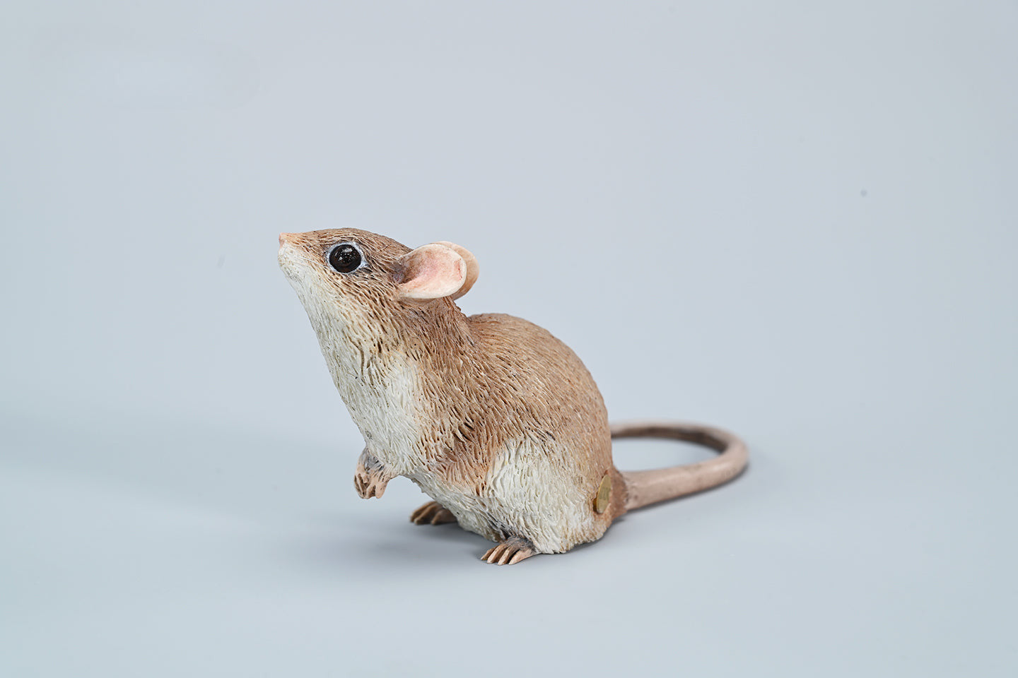 This image showcases a highly detailed, lifelike mouse figurine, part of the Pre-sale 1/1 Small Simulation Mouse Model collection. The model features a realistic depiction with intricate fur texture, expressive eyes, and delicate paws, highlighting its craftsmanship. The mouse is posed naturally, making it a perfect addition to any animal lover's collection.