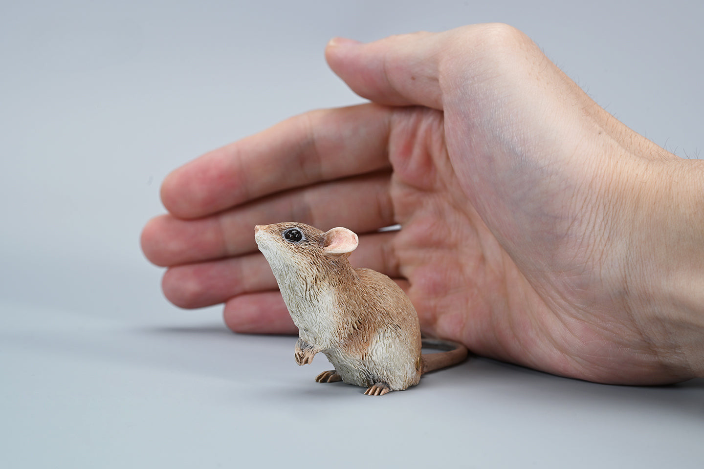 This image showcases a highly detailed, lifelike mouse figurine, part of the Pre-sale 1/1 Small Simulation Mouse Model collection. The model features a realistic depiction with intricate fur texture, expressive eyes, and delicate paws, highlighting its craftsmanship. The mouse is posed naturally, making it a perfect addition to any animal lover's collection.