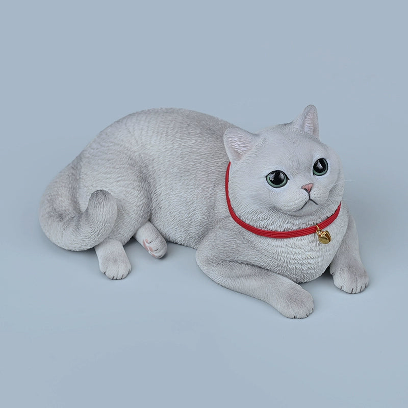 Realistic 1/3 British Shorthair Cat Simulation Animal Model featuring a lifelike design with intricate details. The model showcases a British Shorthair in a relaxed pose, highlighting its characteristic short, plush coat and rounded face. Perfect for collectors and cat enthusiasts.