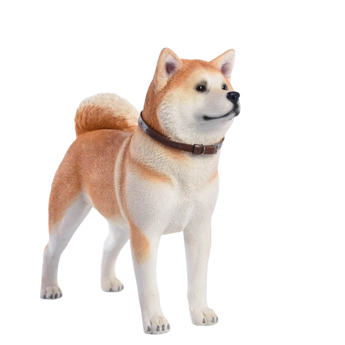 Three 1/6 scale models of Akita dogs, each with a different coat color: dark grey, white, and orange. The models feature realistic fur textures and detailed expressions, capturing the noble and strong nature of the Akita breed.