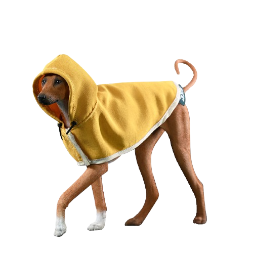 A 1/6 scale model of an Azawakh dog wearing a yellow cape, showcasing a stylish and protective outfit. The dog has a brown coat and a sleek, slender physique.