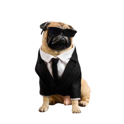 A stylish resin model of a pug dressed in a black suit, white shirt, and black tie, complete with sunglasses. The model captures the pug's distinctive features with lifelike detail, making it a unique and fashionable decor piece.