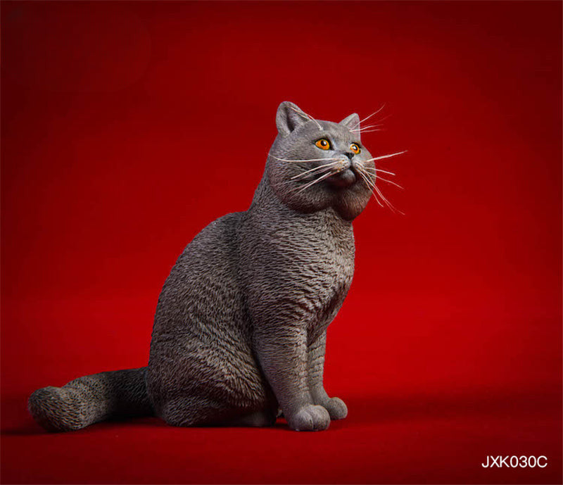 Three 1/6 scale resin models of British Shorthair cats, displayed against a red background. The models feature different coat colors: black, grey and white, and solid grey. Each cat has a lifelike expression and distinctive British Shorthair characteristics.