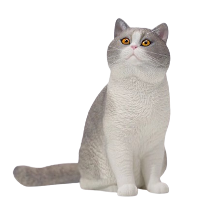 Three 1/6 scale resin models of British Shorthair cats, displayed against a red background. The models feature different coat colors: black, grey and white, and solid grey. Each cat has a lifelike expression and distinctive British Shorthair characteristics.