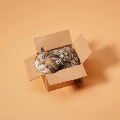 A pair of adorable cat figurines comfortably nestled inside small FedEx delivery boxes. Each cat, with eyes closed and a serene expression, appears to be sleeping soundly. These lifelike models are a delightful representation of contentment and cuteness, perfect for any cat lover's collection.
