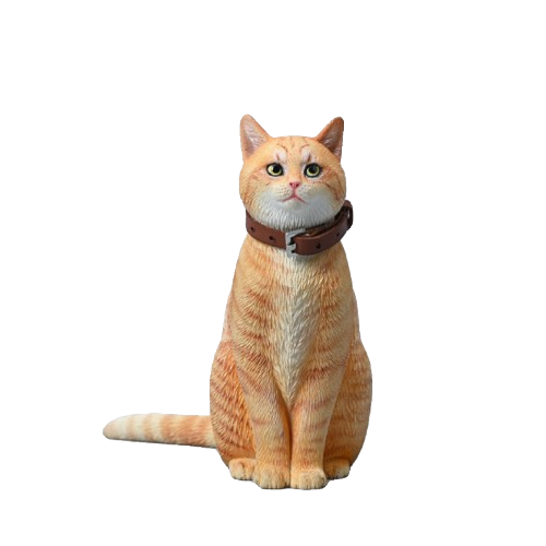 Enhance your collection with the 1/6 Scale Chinese Felis Catus Cat Model 5.0. This lifelike figurine features a ginger coat and a realistic brown leather collar, capturing the essence of a real feline. Perfect for cat lovers and collectors, this model adds charm and authenticity to any space. 