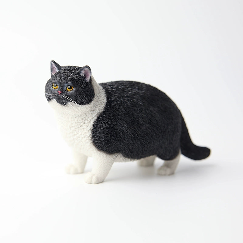 1/6 Fat Cat Model, a realistic and detailed cat figurine made from high-quality resin, depicting a plump and contented cat. Ideal for cat lovers and collectors, this lifelike model adds charm to any space, measuring 11.5cm in length and 7cm in height. A unique, limited edition collectible that captures the essence of a well-fed feline, perfect for display and as a thoughtful gift.