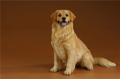 Two 1/6 scale Golden Retriever resin models, depicting one dog sitting and the other lying down. The figurines showcase lifelike details with expressive faces, fluffy golden fur, and realistic poses, perfect for collectors and dog lovers.