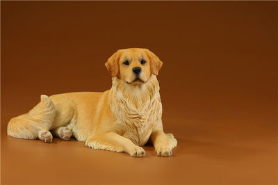 Two 1/6 scale Golden Retriever resin models, depicting one dog sitting and the other lying down. The figurines showcase lifelike details with expressive faces, fluffy golden fur, and realistic poses, perfect for collectors and dog lovers.