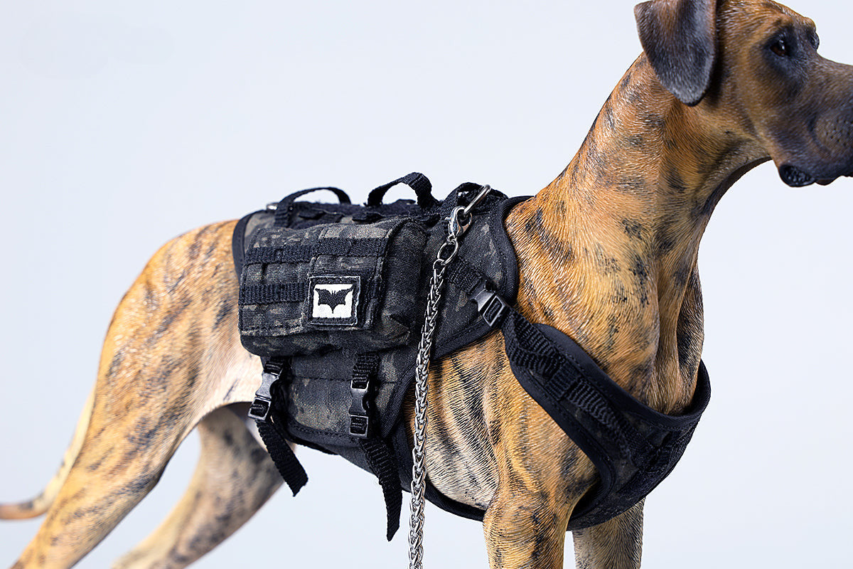 A highly detailed model of a Great Dane dog in four different coat colors: fawn, black, brindle, and gray. The model showcases the Great Dane's majestic stature and muscular build. The second image shows a brindle Great Dane model equipped with a tactical harness and leash, highlighting the dog's strength and readiness for action. This realistic Great Dane figurine is perfect for collectors and dog enthusiasts.