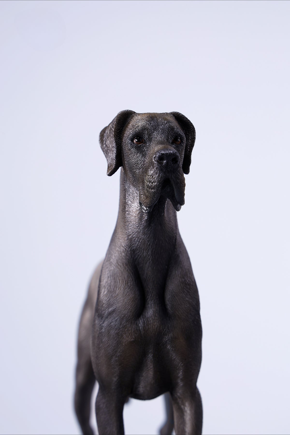 A highly detailed model of a Great Dane dog in four different coat colors: fawn, black, brindle, and gray. The model showcases the Great Dane's majestic stature and muscular build. The second image shows a brindle Great Dane model equipped with a tactical harness and leash, highlighting the dog's strength and readiness for action. This realistic Great Dane figurine is perfect for collectors and dog enthusiasts.