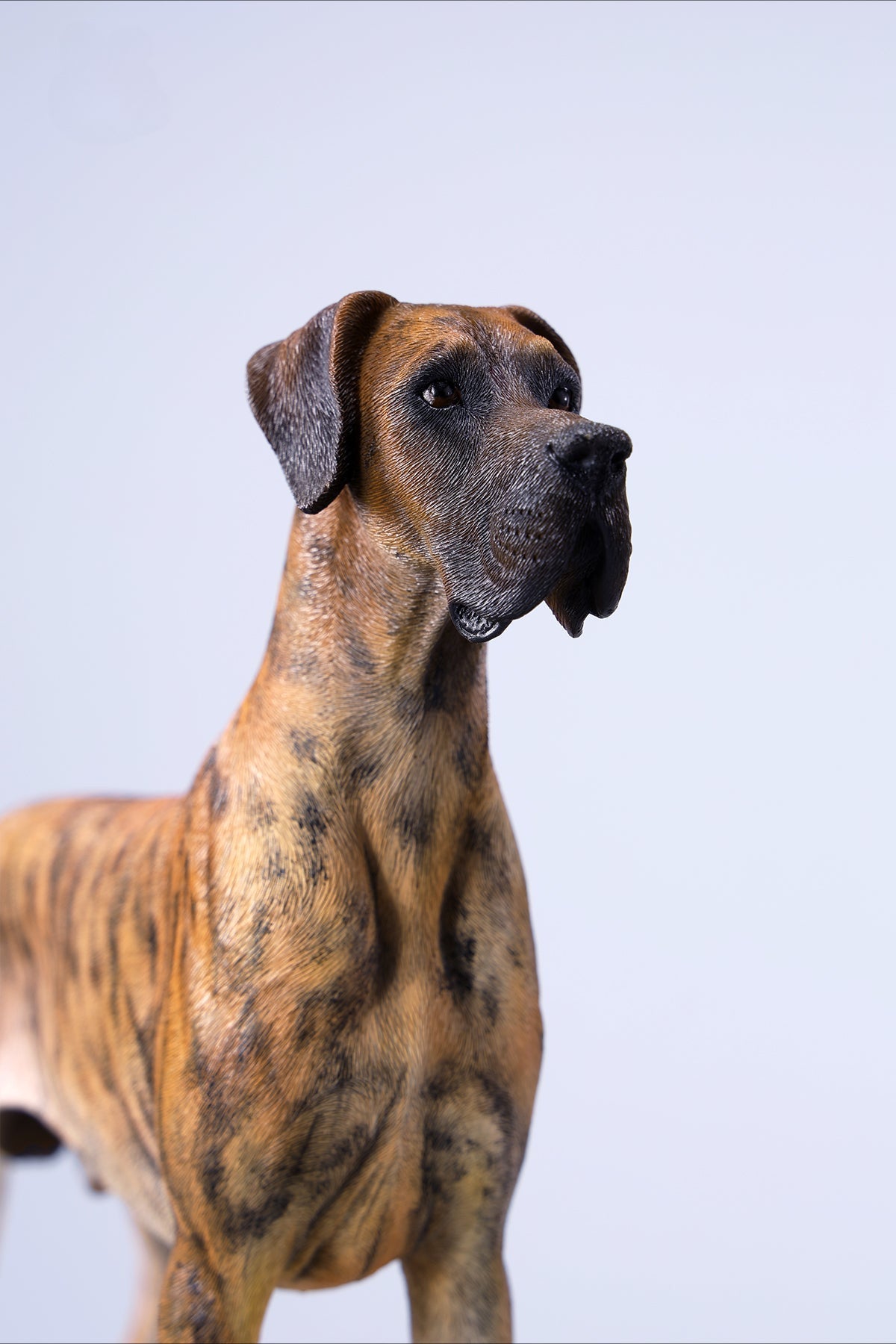 A highly detailed model of a Great Dane dog in four different coat colors: fawn, black, brindle, and gray. The model showcases the Great Dane's majestic stature and muscular build. The second image shows a brindle Great Dane model equipped with a tactical harness and leash, highlighting the dog's strength and readiness for action. This realistic Great Dane figurine is perfect for collectors and dog enthusiasts.