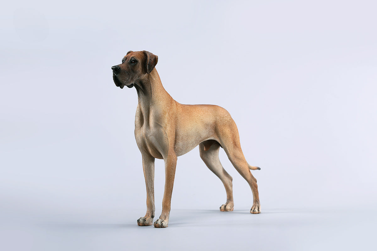 A highly detailed model of a Great Dane dog in four different coat colors: fawn, black, brindle, and gray. The model showcases the Great Dane's majestic stature and muscular build. The second image shows a brindle Great Dane model equipped with a tactical harness and leash, highlighting the dog's strength and readiness for action. This realistic Great Dane figurine is perfect for collectors and dog enthusiasts.