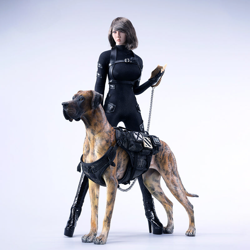 A highly detailed model of a Great Dane dog in four different coat colors: fawn, black, brindle, and gray. The model showcases the Great Dane's majestic stature and muscular build. The second image shows a brindle Great Dane model equipped with a tactical harness and leash, highlighting the dog's strength and readiness for action. This realistic Great Dane figurine is perfect for collectors and dog enthusiasts.