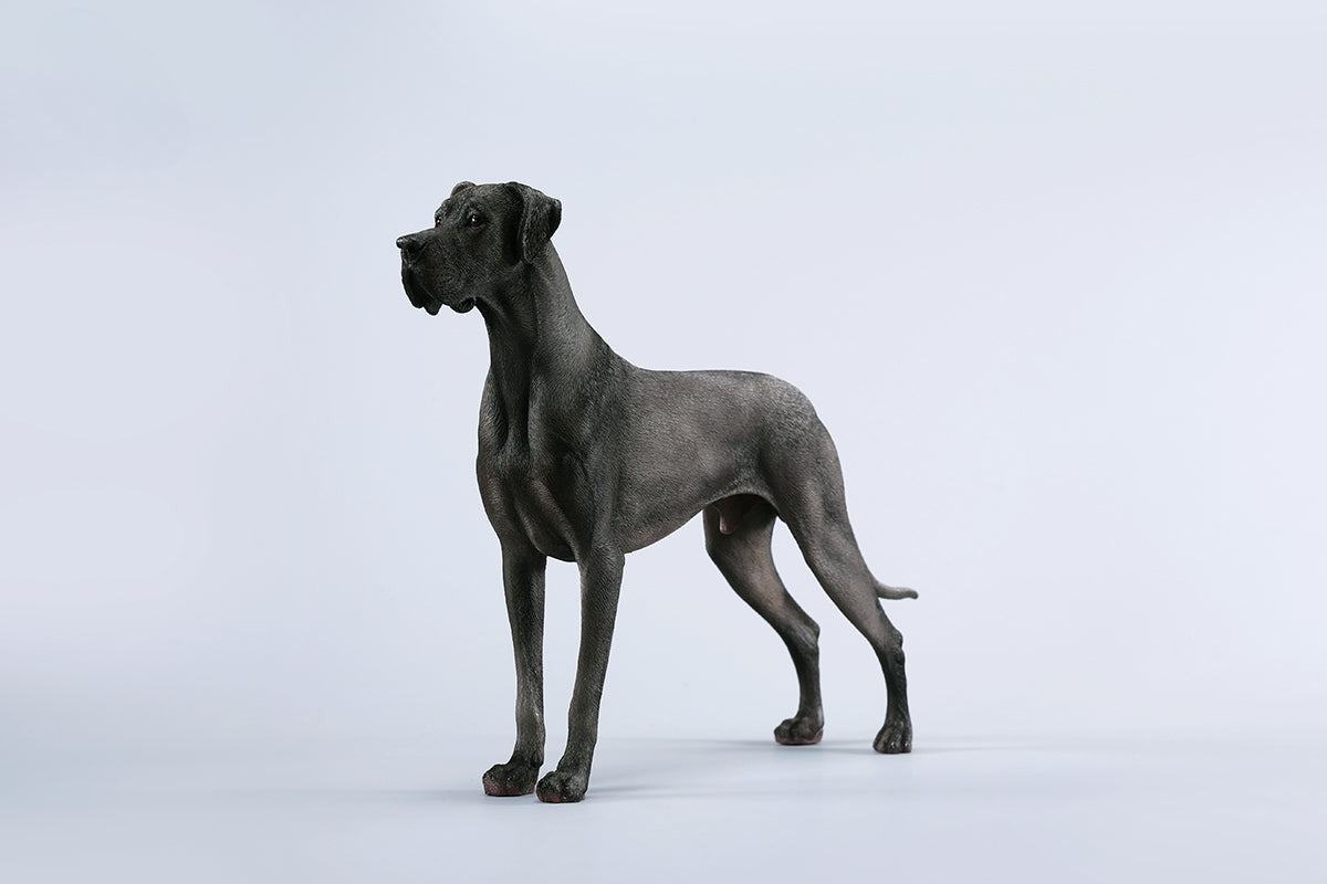 A highly detailed model of a Great Dane dog in four different coat colors: fawn, black, brindle, and gray. The model showcases the Great Dane's majestic stature and muscular build. The second image shows a brindle Great Dane model equipped with a tactical harness and leash, highlighting the dog's strength and readiness for action. This realistic Great Dane figurine is perfect for collectors and dog enthusiasts.