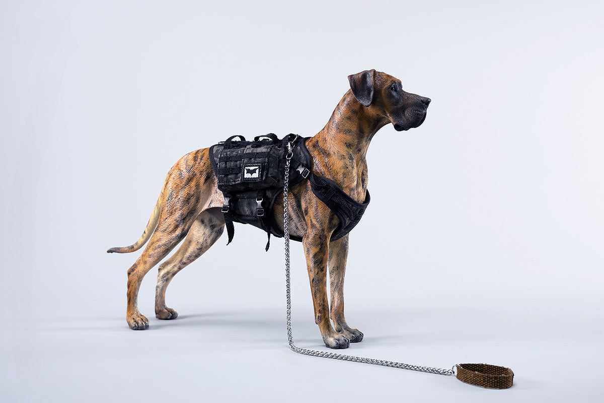 A highly detailed model of a Great Dane dog in four different coat colors: fawn, black, brindle, and gray. The model showcases the Great Dane's majestic stature and muscular build. The second image shows a brindle Great Dane model equipped with a tactical harness and leash, highlighting the dog's strength and readiness for action. This realistic Great Dane figurine is perfect for collectors and dog enthusiasts.