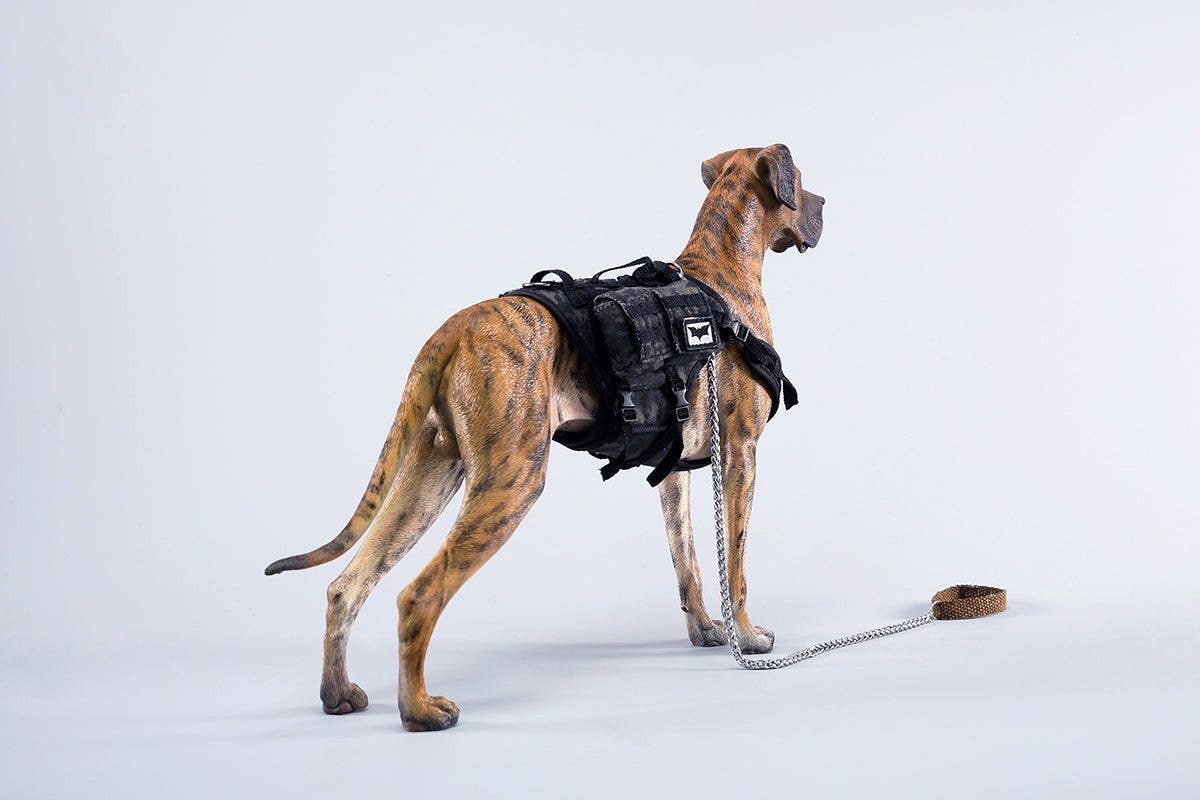 A highly detailed model of a Great Dane dog in four different coat colors: fawn, black, brindle, and gray. The model showcases the Great Dane's majestic stature and muscular build. The second image shows a brindle Great Dane model equipped with a tactical harness and leash, highlighting the dog's strength and readiness for action. This realistic Great Dane figurine is perfect for collectors and dog enthusiasts.