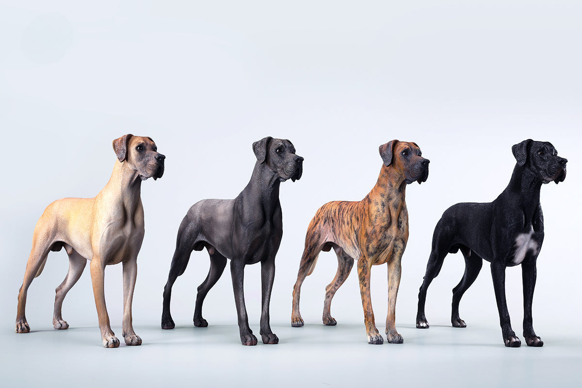 A highly detailed model of a Great Dane dog in four different coat colors: fawn, black, brindle, and gray. The model showcases the Great Dane's majestic stature and muscular build. The second image shows a brindle Great Dane model equipped with a tactical harness and leash, highlighting the dog's strength and readiness for action. This realistic Great Dane figurine is perfect for collectors and dog enthusiasts.