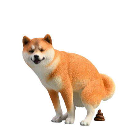 1/6 Half-Squat and Leg-Rising Shiba Inu Model, a realistic and detailed Shiba Inu figurine made from high-quality resin, depicting the playful nature of Shiba Inu dogs in lifelike poses. Perfect for collectors and dog lovers, these models add a touch of humor and realism to any space, available in various colors and poses. A unique and collectible tribute to the beloved Shiba Inu breed.
