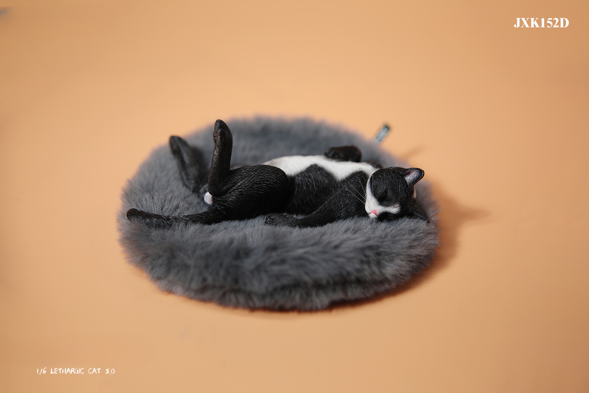 A set of 1/6 scale Lethargic Cat 5.0 models showing various cats in different relaxed, sleeping positions. Each cat is detailed with realistic fur textures and unique coat colors, resting on a grey cushion or a dark grey couch, perfectly capturing the essence of a lazy cat's nap.