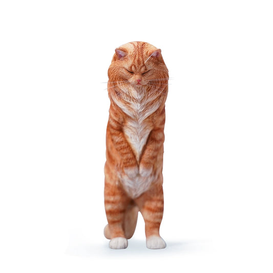 A collection of 1/6 scale Maine Cat simulation models featuring realistic and detailed representations of Maine Coon cats. These figurines capture the distinct features of the breed, including their long fur, expressive eyes, and majestic presence. Available in various coat colors, these models are perfect for collectors and cat enthusiasts.