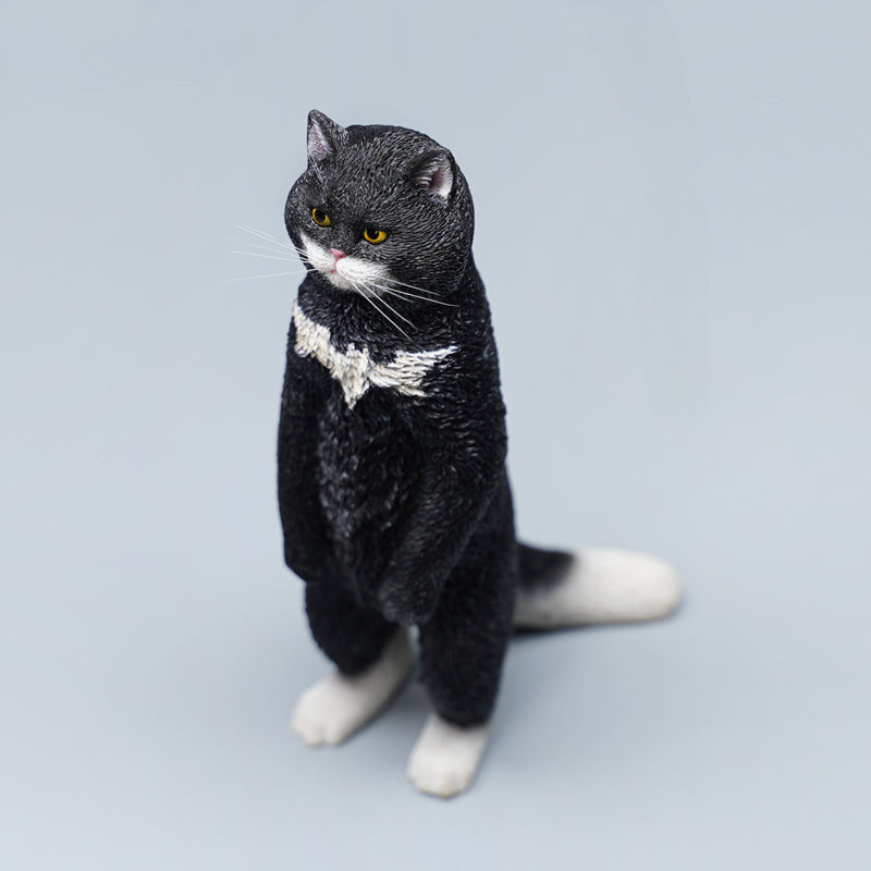 A collection of six detailed figurines of British Shorthair cats standing upright, showcasing a range of coat colors including grey, orange tabby, and black. The cats have expressive faces, with some sporting unique features like a white patch or striped fur. The figurines capture a playful and curious stance, each cat displaying a distinct personality.