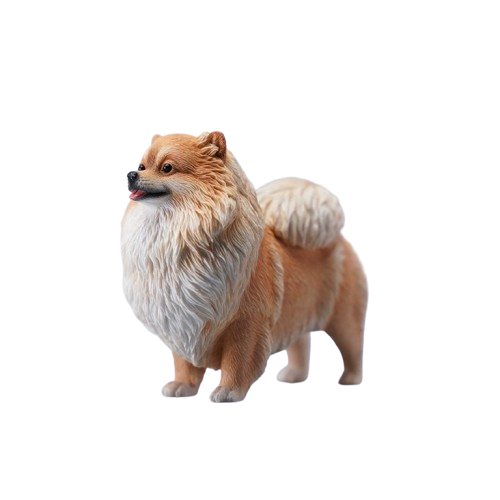 A collection of five 1/6 scale Pomeranian dog figurines, each showcasing different coat colors, including white, gray, tan, and orange. These lifelike models feature detailed fur textures and happy expressions, capturing the playful and charming nature of Pomeranians.