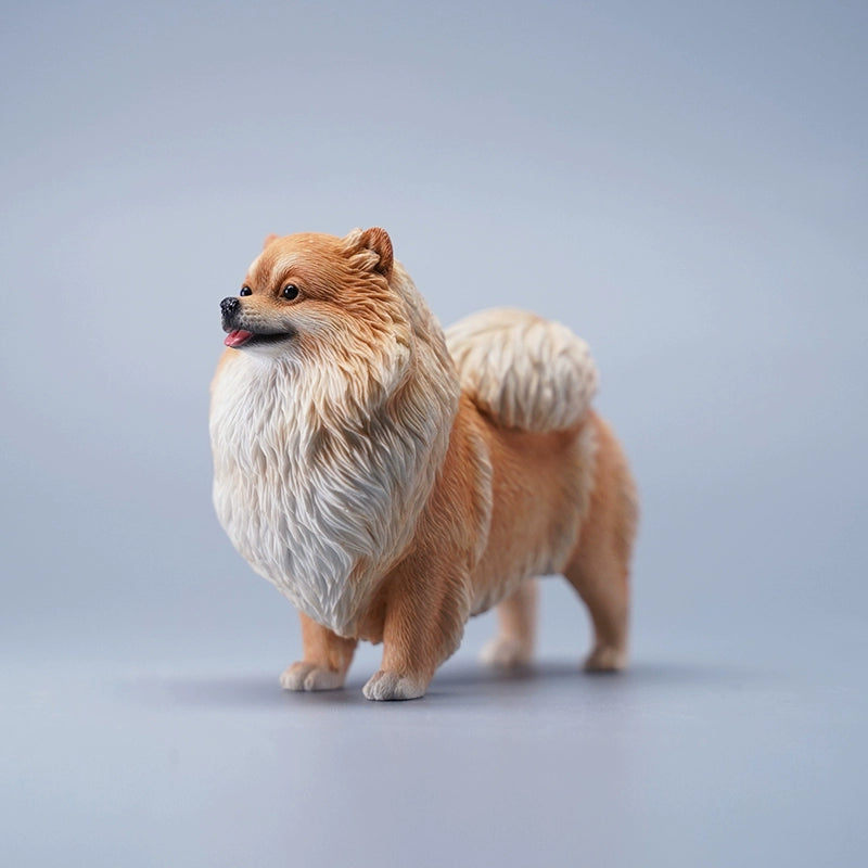 A collection of five 1/6 scale Pomeranian dog figurines, each showcasing different coat colors, including white, gray, tan, and orange. These lifelike models feature detailed fur textures and happy expressions, capturing the playful and charming nature of Pomeranians.