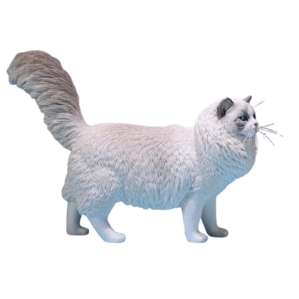 A set of highly detailed 1/6 scale Ragdoll Cat 1.0 Resin Models featuring lifelike fur textures and expressive faces. The collection showcases various coat colors and realistic postures, making them perfect for cat enthusiasts and collectors.