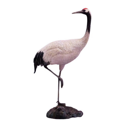 Detailed 1/6 scale resin crane model, featuring a beautifully hand-painted body, intricate feathers, and a sturdy base. Perfect for bird collectors and enthusiasts.