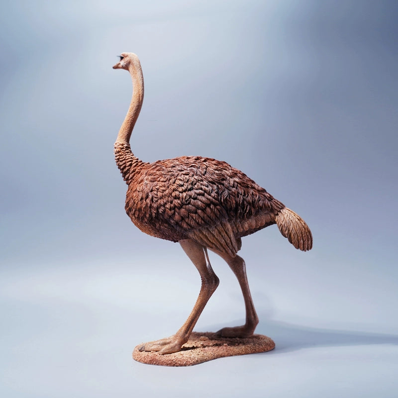 A beautifully detailed 1/6 scale ostrich model made from resin with realistic features and a platform and saddle included. Ideal for display or as a collector's item.