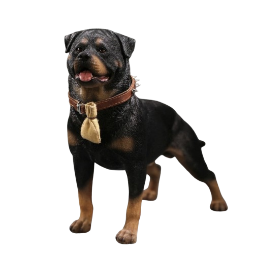 Three intricately detailed Rottweiler dog figurines stand on a grey surface. The figures exhibit lifelike features, from their distinct fur textures to the expressive faces. One wears a spiked collar with a small beige pouch, adding a touch of personality. The lighting emphasizes their muscular build and attentive expressions, making these resin models a perfect representation of the strong and loyal breed.