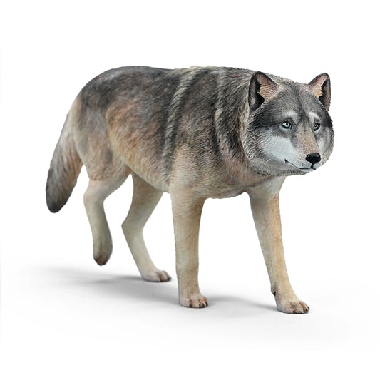 A highly detailed 1/6 scale gray wolf statue with realistic fur texture and expressive eyes, made from hand-painted resin. This lifelike animal figurine captures the essence of a wild gray wolf in a majestic stance, making it perfect for collectors, wildlife lovers, and home decor enthusiasts.