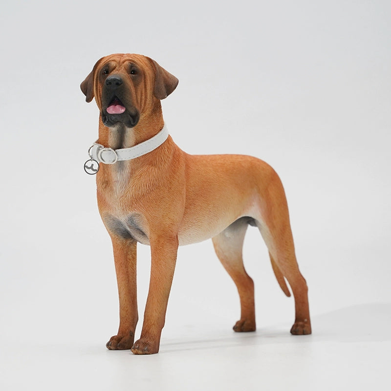 1/6 scale Tosa dog simulation models featuring realistic details and lifelike textures. These figurines capture the noble and powerful stature of the Tosa breed, complete with expressive faces and a sleek coat. Ideal for collectors and dog lovers, these models add a touch of elegance to any display.