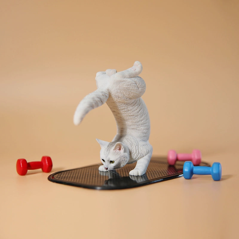 1/6 scale Yoga Cat 2.0 models featuring various cats in an advanced yoga pose, capturing the playful and flexible nature of cats. These detailed figurines showcase different fur colors and patterns, offering a whimsical touch to any decor. Perfect for cat lovers and collectors, these models add a fun and creative element to your space.