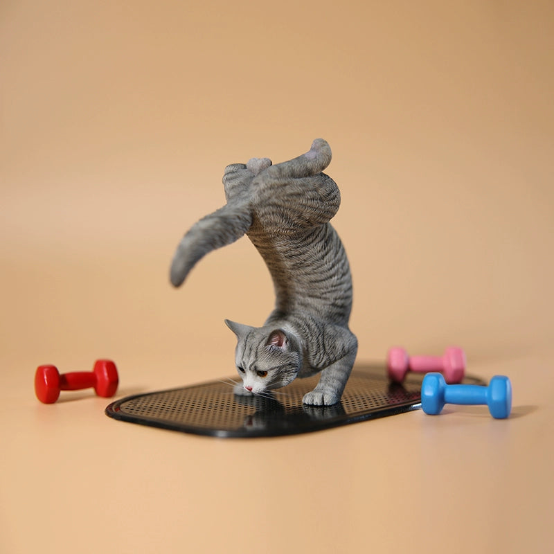 1/6 scale Yoga Cat 2.0 models featuring various cats in an advanced yoga pose, capturing the playful and flexible nature of cats. These detailed figurines showcase different fur colors and patterns, offering a whimsical touch to any decor. Perfect for cat lovers and collectors, these models add a fun and creative element to your space.