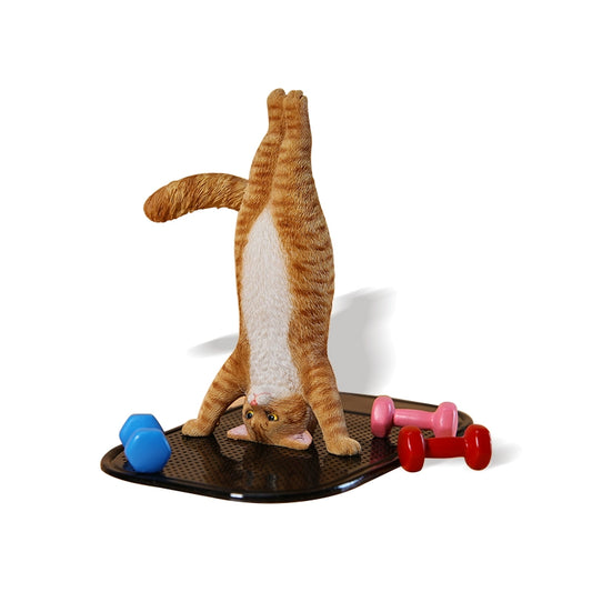 1/6 scale Yoga Cat figurines, each posed in a headstand position, showcasing various fur patterns and colors. These charming and whimsical models capture cats in a playful yoga pose, perfect for collectors and cat lovers. The figurines add a touch of fun and creativity to any display, featuring detailed craftsmanship and lifelike fur textures.