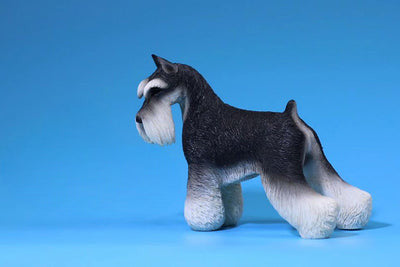 A set of 1/6 scale Schnauzer simulation resin models featuring three realistic figurines in different shades of grey and black, showcasing the breed's distinct beard and eyebrows. The models highlight detailed fur textures and accurate physical characteristics of Schnauzers.