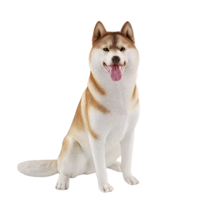 A collection of 1/6 scale Siberian Husky resin models, showcasing eight lifelike figurines with detailed fur textures and expressive faces, each in various poses and coat colors. The models include a range of colors from black and white to brown and grey, all set against a neutral backdrop.